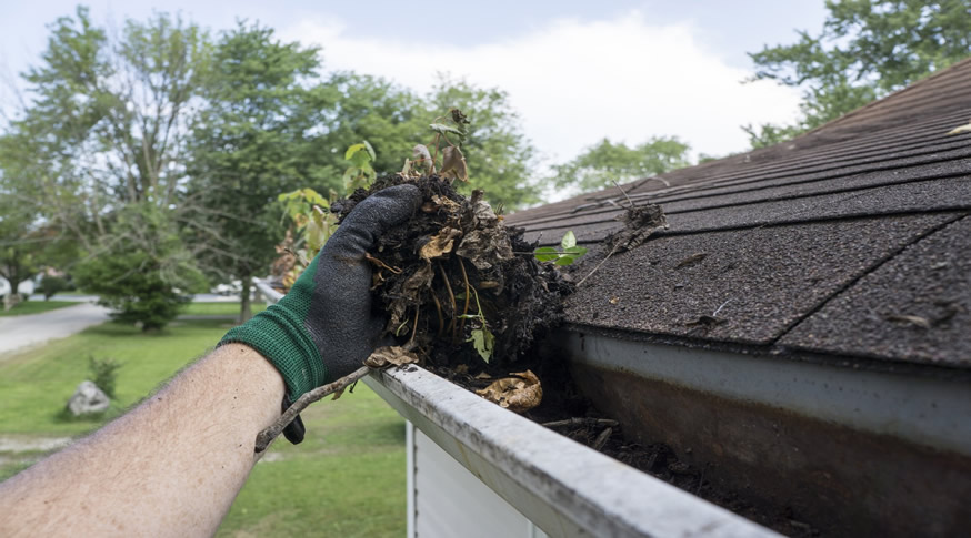 gutters