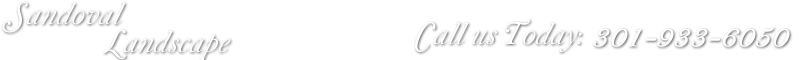 Callisto